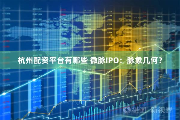 杭州配资平台有哪些 微脉IPO：脉象几何？