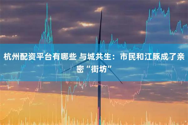 杭州配资平台有哪些 与城共生：市民和江豚成了亲密“街坊”