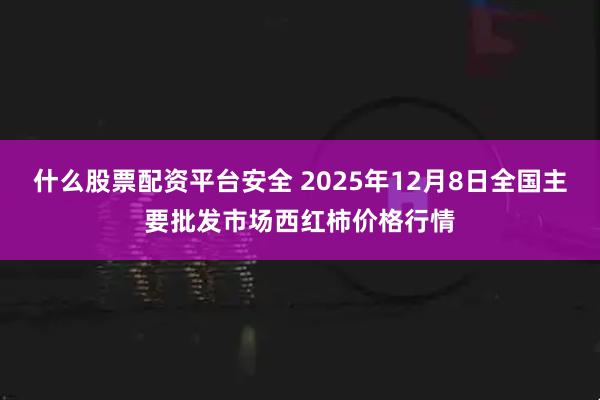 什么股票配资平台安全 2025年12月8日全国主要批发市场西红柿价格行情