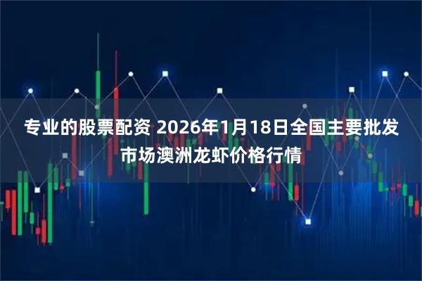 专业的股票配资 2026年1月18日全国主要批发市场澳洲龙虾价格行情