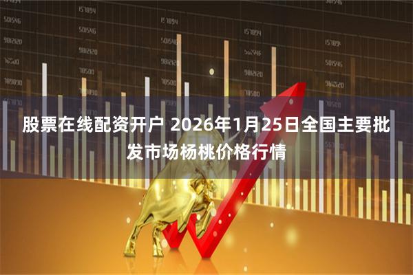 股票在线配资开户 2026年1月25日全国主要批发市场杨桃价格行情
