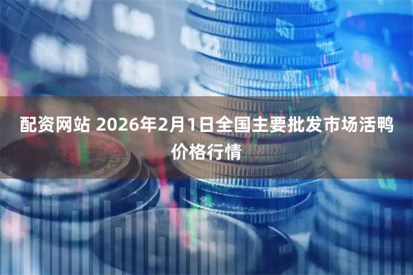 配资网站 2026年2月1日全国主要批发市场活鸭价格行情