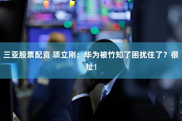 三亚股票配资 项立刚：华为被竹知了困扰住了？很扯！
